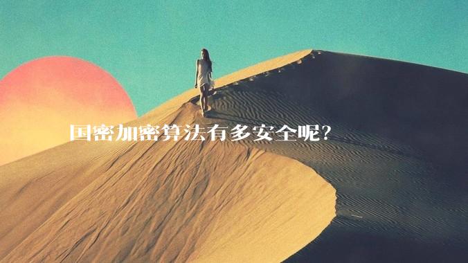 国密加密算法有多安全呢？